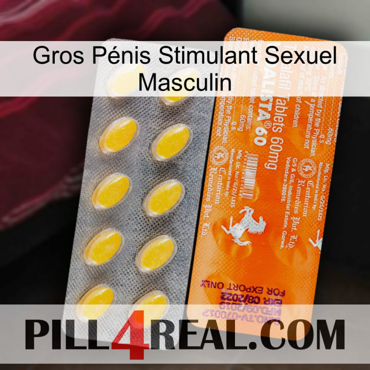 Gros Pénis Stimulant Sexuel Masculin new05